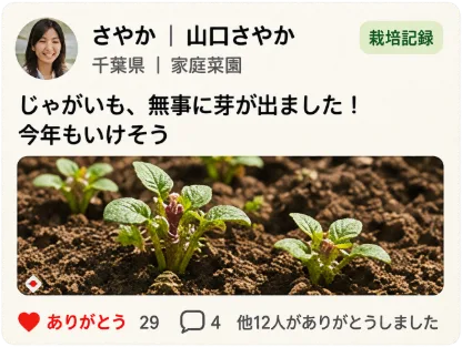 投稿3_じゃがいも